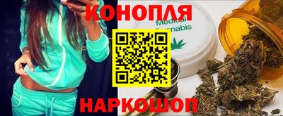 сатива Бийск