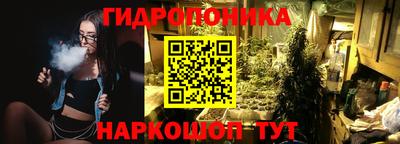 сатива Бийск