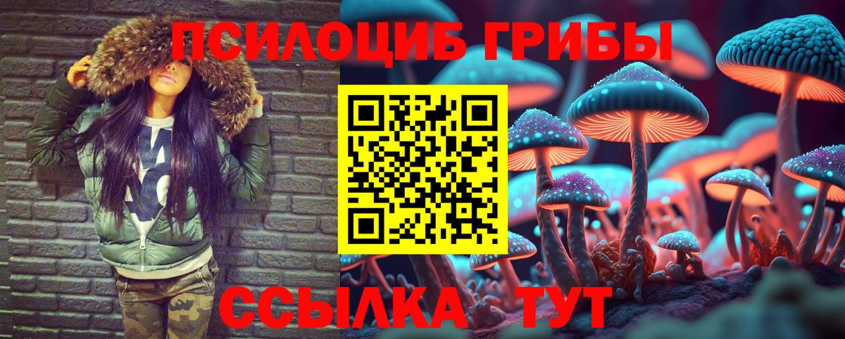 Псилоцибиновые грибы мицелий Камышин