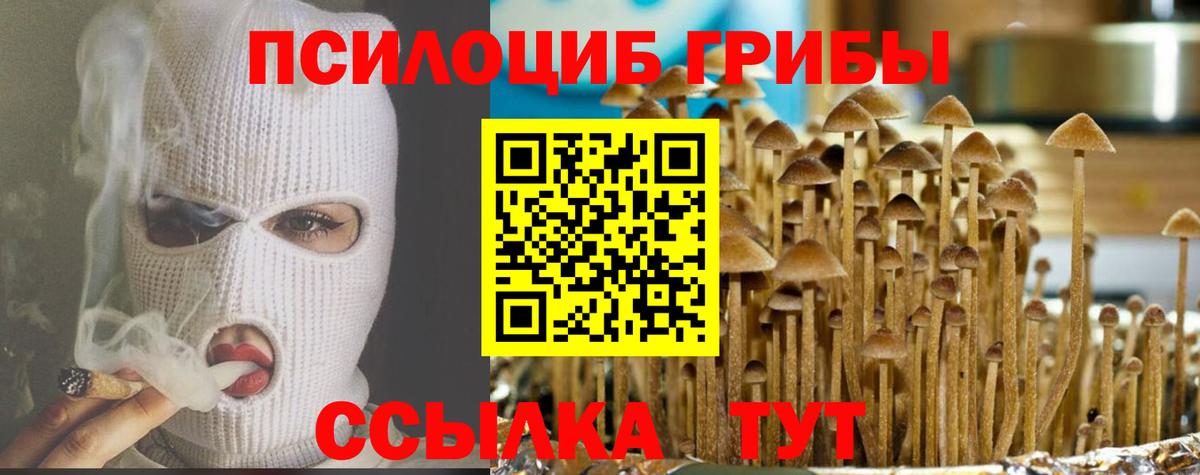 Псилоцибиновые грибы Psilocybine cubensis  Вход с VPN  что такое   Камышин 